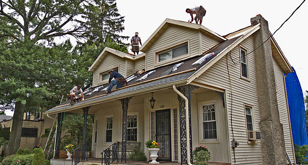 Best Metal Roofing Contractor  in Valley Park, MO